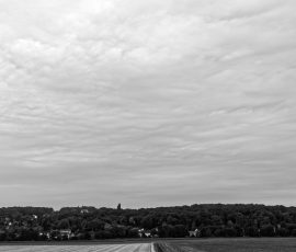 DSC_1545_DxO